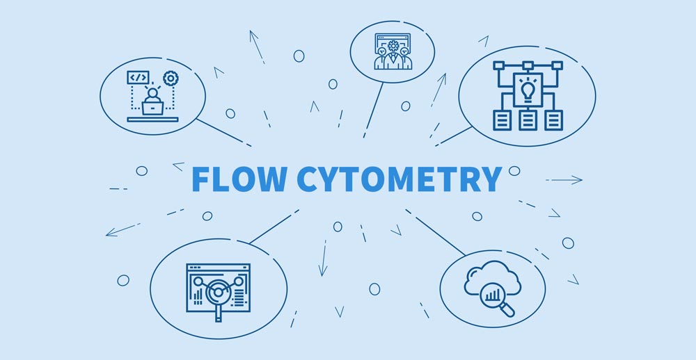 Flow Cytometry Process