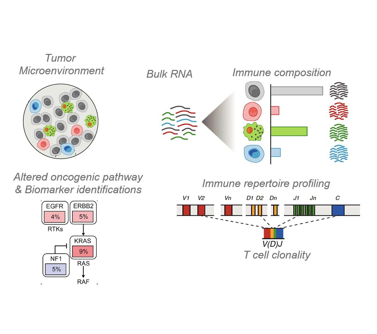 immunogenomic analysis