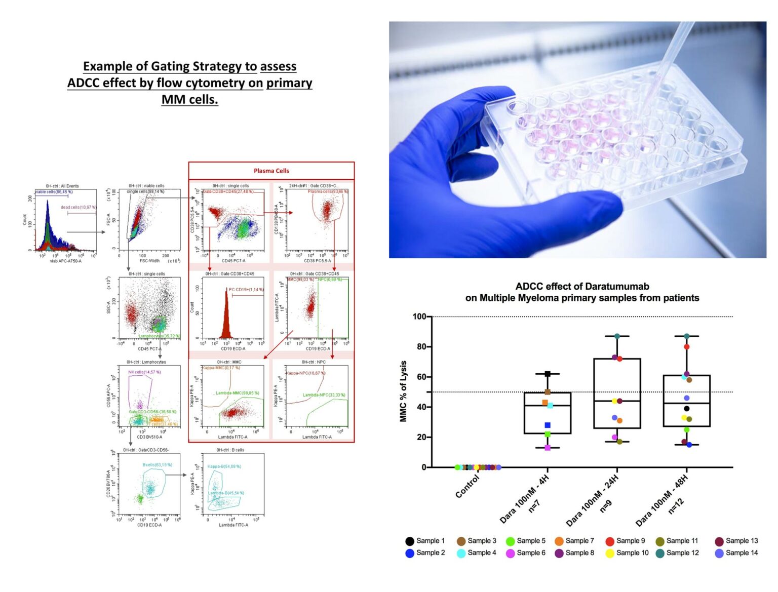 Immunotherapies Assays and Analysis Diag2Tec, Preclinical CRO
