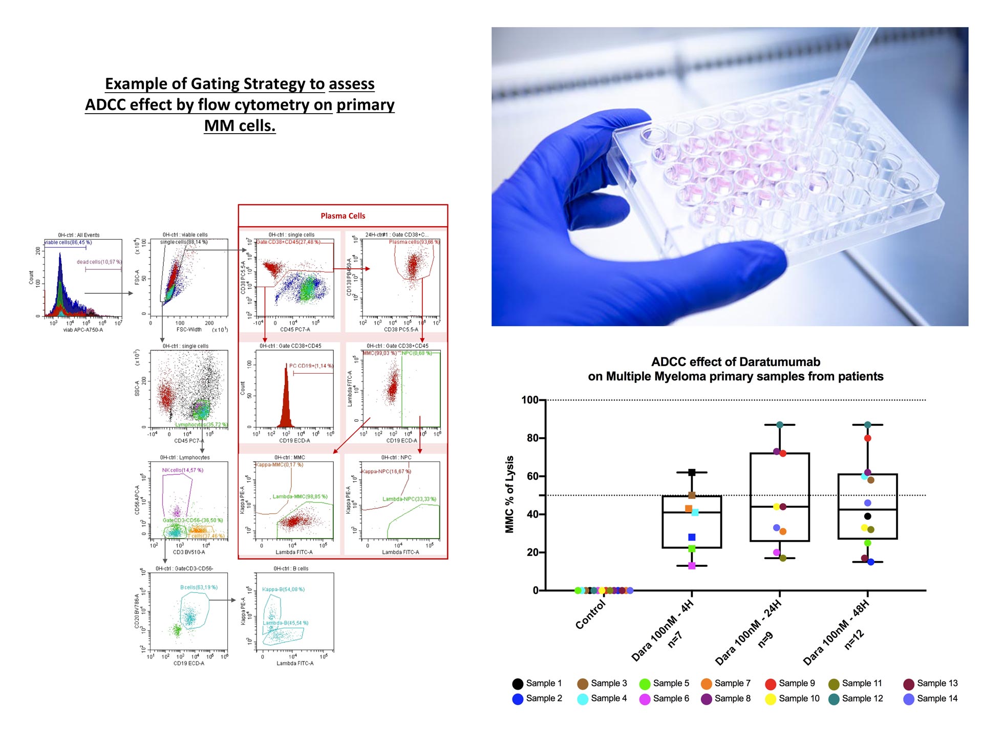 immunotherapies assays